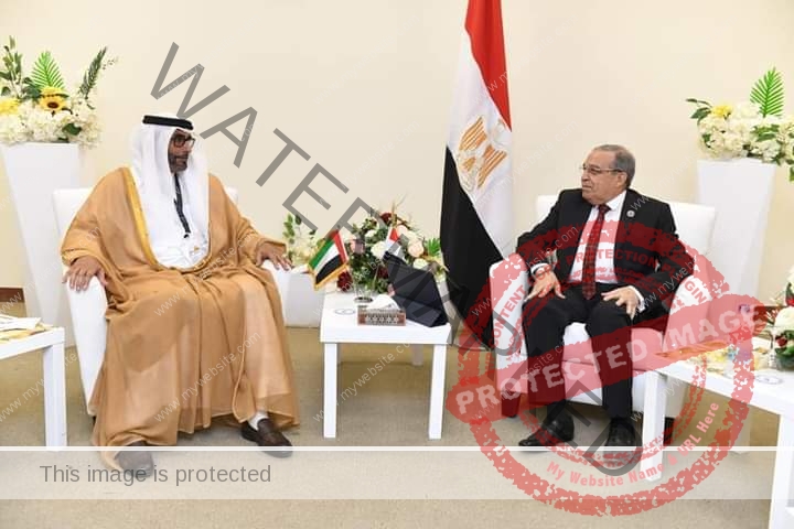مرسي و"وزير الدولة لشئون الدفاع الإماراتي" يبحثان سبل تعزيز التعاون