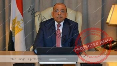 شعراوي يوجه كلمة لاجتماع إقليم شمال أفريقيا بمنظمة المدن والحكومات المحلية الأفريقية بمدينة الأقصر