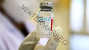 تطعيم 9 متطوعين بلقاح "كوفي فاكس" الوطني