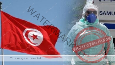 تونس تسجل 347 إصابة جديدة بكورونا و 5 حالات وفاة خلال الـ 24 ساعة الماضية
