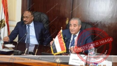 المصيلحي: الشركة المصرية السودانية نواه تخلق كيان ‏أقتصادي مصري سوداني