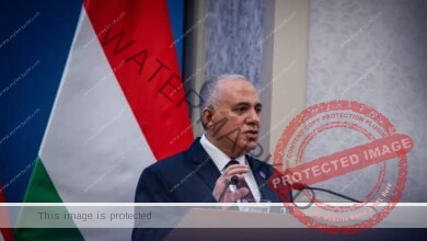 عبد العاطي يلقى محاضرة للدبلوماسيين المجريين عن الموقف المائي في مصر