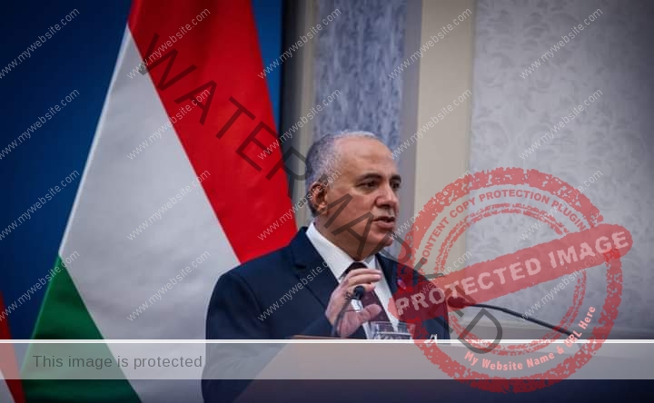 عبد العاطي يلقى محاضرة للدبلوماسيين المجريين عن الموقف المائي في مصر