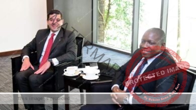 عبد الوهاب يبحث مع وزير الاستثمار التنزاني دفع العلاقات الأستثمارية مع مصر