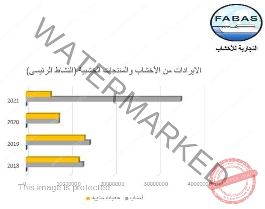 وزير قطاع الأعمال العام يتابع جهود تطوير الشركة التجارية للأخشاب