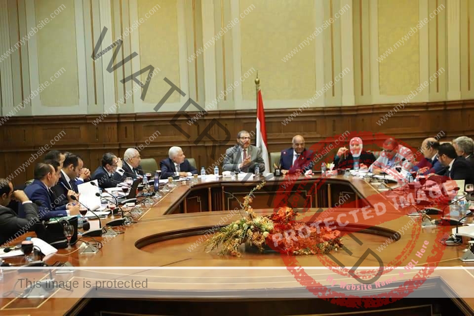 سعفان يشارك في إجتماع  لجنة الطاقة والقوى العاملة بمجلس الشيوخ