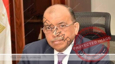 شعراوي يتابع مستجدات تنقيذ توجيهات القيادة السياسية لترسيخ العدالة الاجتماعية للمواطنين
