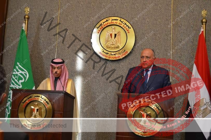 البيان الختامي للجنة المتابعة والتشاور السياسي بين جمهورية مصر العربية والمملكة العربية السعودية