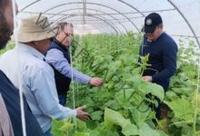وزير الزراعة يكلف وفد علمي بتفقد الهجن الجديدة لإنتاج تقاوي الخضر في سوهاج