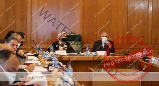 عبد العاطي يترأس إجتماع اللجنة العليا لتراخيص الشواطئ بحضور وزيرة البيئة وممثلي الوزارات المعنية
