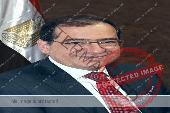 الملا: الدولة المصرية دخلت فى سباق مع الزمن لبناء مصر المستقبل