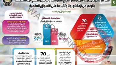 حصاد وزارة التموين والتجارة الداخلية لعام 2021