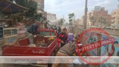 أستمرار الحملات المكبرة  لرفع الإشغالات والمخالفات بمدينة شبين القناطر 