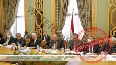 شكري يفتتح أجتماع اللجنة الدائمة لمتابعة العلاقات المصرية الأفريقية