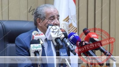 المصليحي أشكر الرئيس السيسي على دعم صعيد مصر وبناء الجمهورية الجديدة