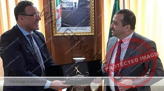 سفير مصر في الجزائر يلتقي وزير الطاقة والمناجم الجزائري