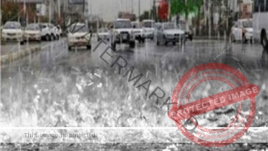 عاجل.. هطول أمطار على محافظة المنصورة بشكل متقطع