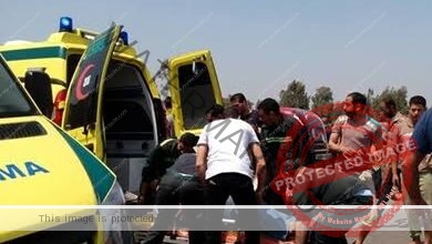 مصرع شخصين وإصابة 4 إثر حادث تصادم سيارتي نقل وربع نقل بـ الريف المصري