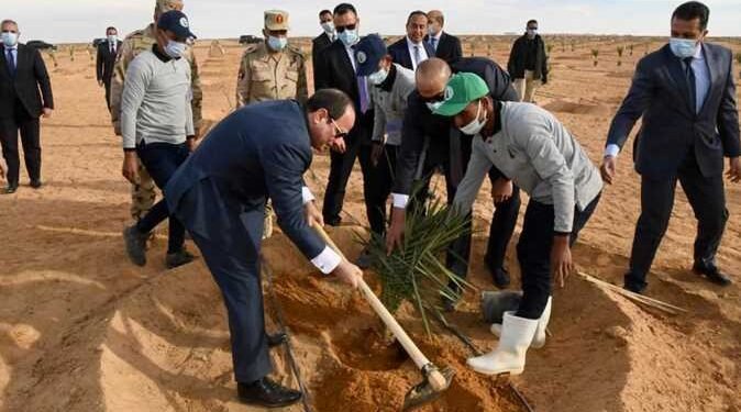 مزرعة التمور في توشكى ترفع إنتاج مصر إلى 2 مليون طن سنويا