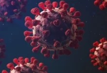 العلماء يحذرون من سلالة جديدة من فيروس كورونا NeoCov