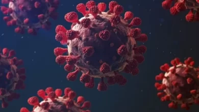 العلماء يحذرون من سلالة جديدة من فيروس كورونا NeoCov