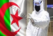 الجزائر تسجل أعلى حصيلة بإصابات فيروس كورونا