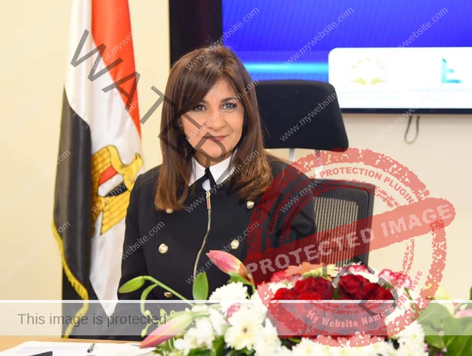 وزيرة الهجرة تتلقى تقريرًا بشأن أول تأمين على المصريين بالخارج خلال أول أربعة أيام من تطبيقه
