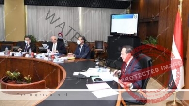 وزير البترول: اعتماد الموازنة التخطيطية لشركتى الأسكندرية والعامرية للبترول