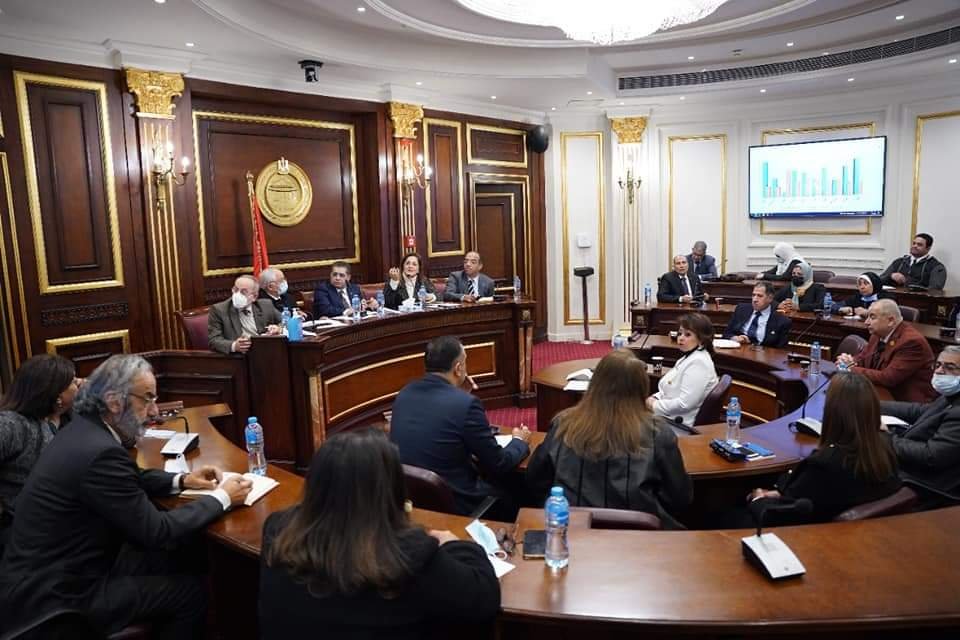 وزيرة التخطيط تستعرض محاور المشروع القومي لتنمية الأسرة المصرية بمجلس الشيوخ