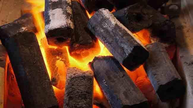 «ركية فحم» تقتل زوجين داخل غرفة نومهما بـ القليوبية