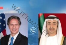 وزيرا خارجية الإمارات وأميركا يبحثان العلاقات الاستراتيجية