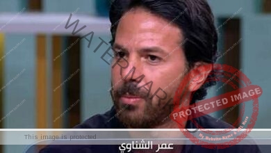 عمر الشناوي ضيف برنامج سبوت لايت على صدى البلد
