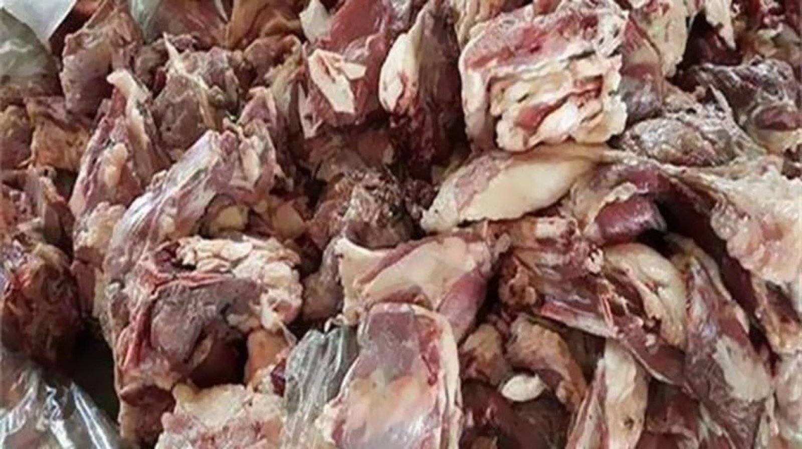 القبض على صاحب مجزر بحوزته نصف طن دواجن ولحوم فاسدة بالقاهرة