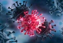 الولايات المتحدة تسجل 1.3 مليون إصابة جديدية بفيروس كورونا خلال 24 ساعة