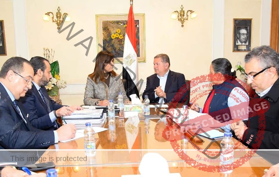 وزيرا قطاع الأعمال والهجرة يبحثان التعاون والاستعداد للنسخة السادسة من مؤتمر "مصر تستطيع"