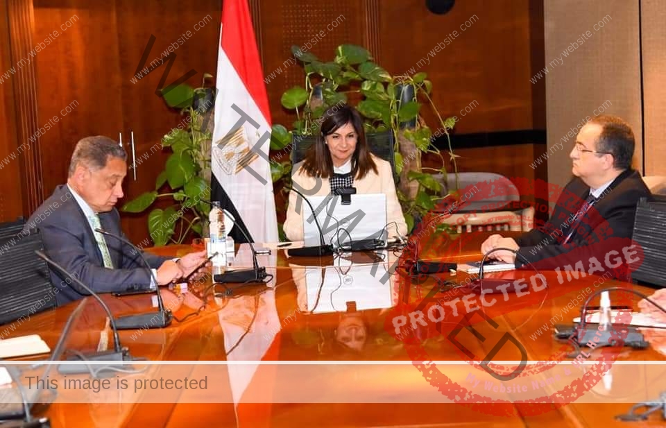 وزيرة الهجرة تلتقي عددًا من رواد الأعمال المصريين بالخارج والأفارقة لتبادل الخبرات