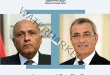 وزير الخارجية سامح شكري يتلقى اتصالاً هاتفياً من وزير خارجية مالطا