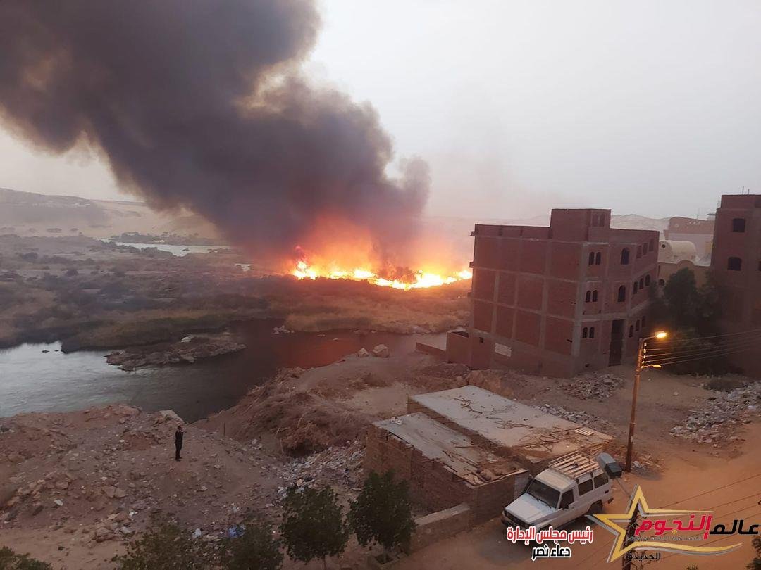 إندلاع حريق بمحمية سالوجا وغزال في أسوان