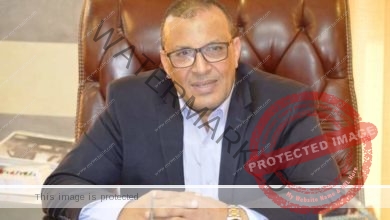 رئيس مطوري القاهرة الجديدة يطالب بإلغاء رسوم الإغراق على الحديد 