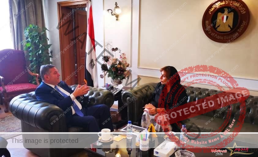 توفيق يبحث مع سفيرة الإمارات بالقاهرة تعزيز التعاون الاقتصادي والتجاري