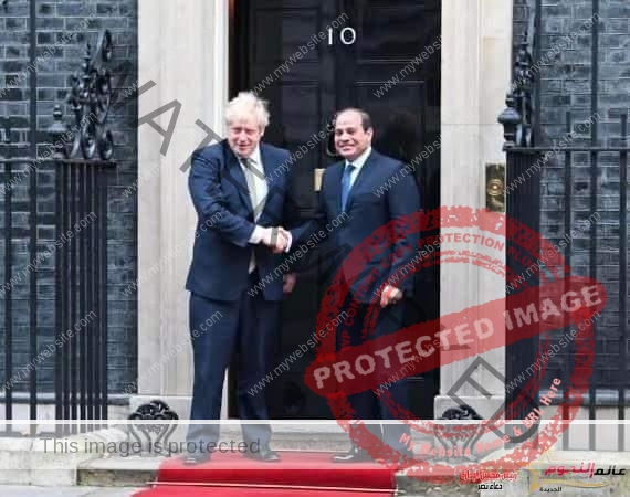 السيسي يتلقي اتصالاً هاتفياً اليوم من رئيس الوزراء البريطاني "بوريس جونسون"