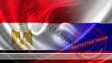 قوة العلاقات المصرية الروسية