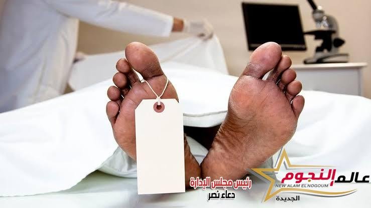 العثور على 3 جثامين داخل أرض زراعية مصابين بطلقات نارية في المنيا