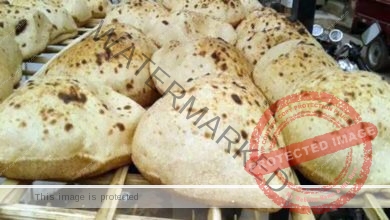 التموين تكشف موعد صدور تسعير الخبز السياحي