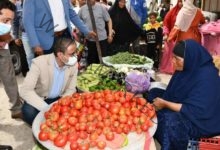 محافظ الفيوم يتفقد معرضي "أهلاً رمضان" و"كلنا واحد" لبيع السلع الغذائية بأسعار مخفضة بمركز طامية