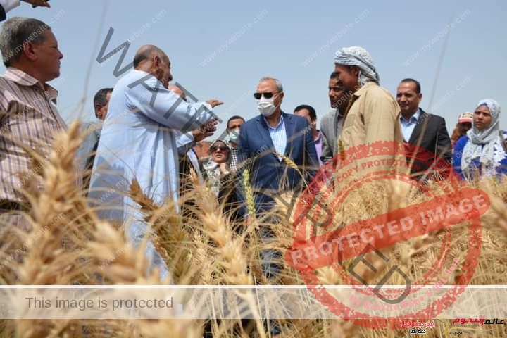 الهجان يتفقد عددا من حقول القمح بمدينتي كفر شكر والقناطر الخيرية ويشهد حصاد أحدهما 