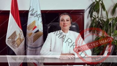 وزيرة البيئة: مصر تتطلع إلى إعداد أجندة متكاملة في كافة المجالات خلال cop27