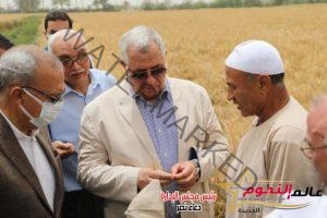 وزير الزراعة ومحافظ القليوبية يتفقدان حقول القمح بالمحافظة