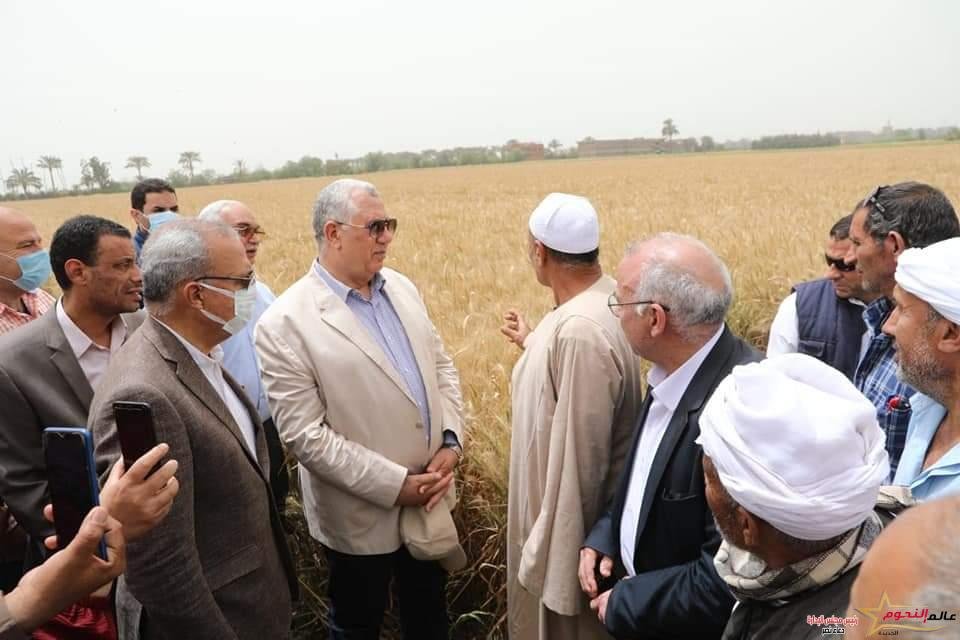 وزير الزراعة ومحافظ القليوبية يتفقدان حقول القمح بالمحافظة