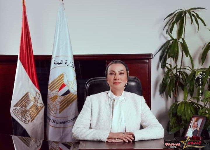 فؤاد تناقش الشراكة مع الأمم المتحدة في التحضير لاستضافة مؤتمر المناخ COP27